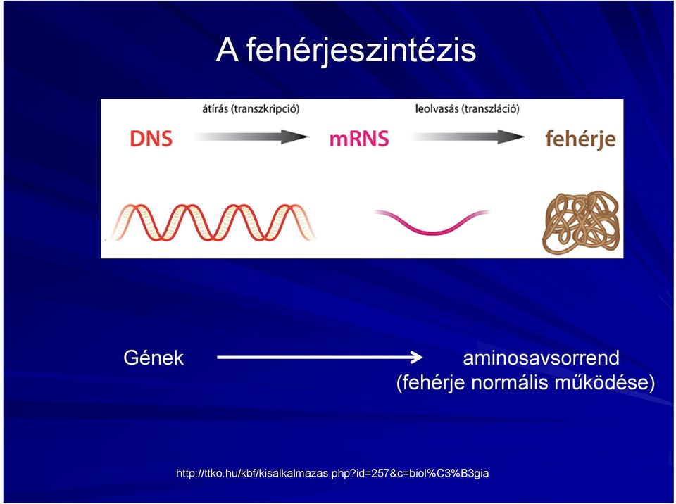 normális működése) http://ttko.