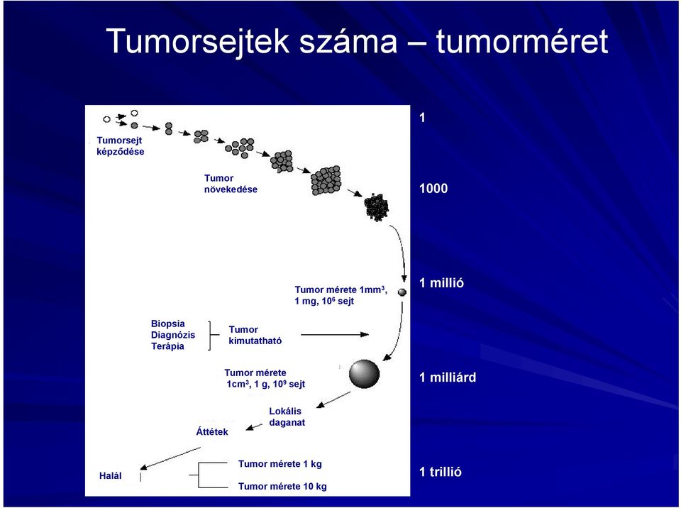 Terápia Tumor kimutatható Tumor mérete 1cm 3, 1 g, 10 9 sejt 1