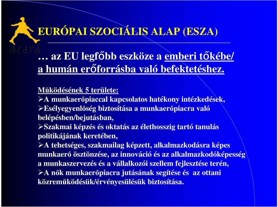 Szakmai képzés és oktatás az élethosszig tartó tanulás politikájának keretében, A tehetséges, szakmailag képzett, alkalmazkodásra képes munkaerő