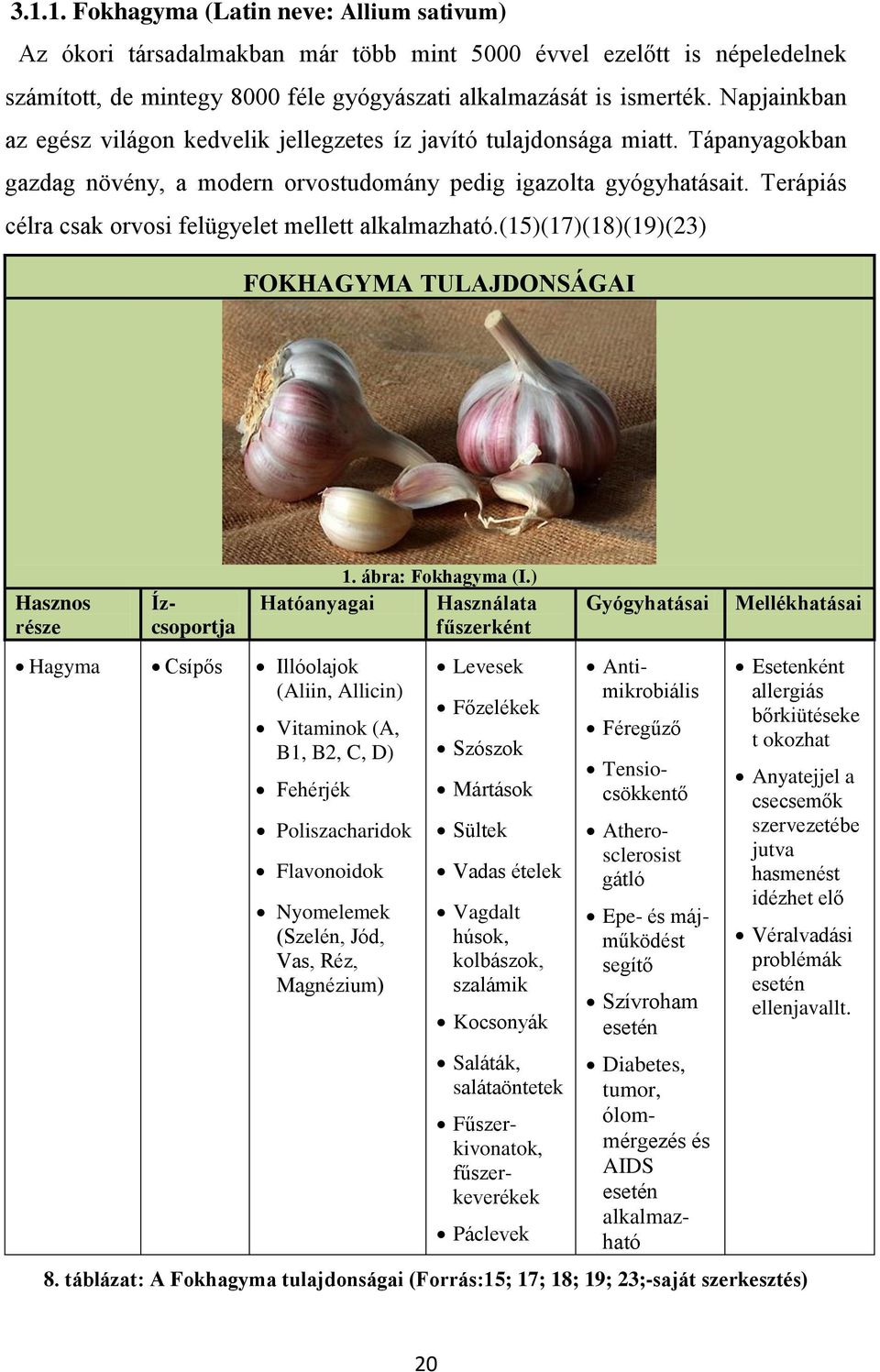 Terápiás célra csak orvosi felügyelet mellett alkalmazható.(15)(17)(18)(19)(23) FOKHAGYMA TULAJDONSÁGAI Hasznos része Ízcsoportja 1. ábra: Fokhagyma (I.