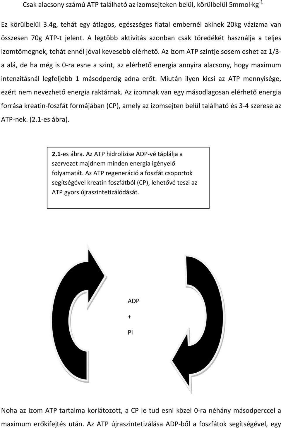 Az izom ATP szintje sosem eshet az 1/3- a alá, de ha még is 0-ra esne a szint, az elérhető energia annyira alacsony, hogy maximum intenzitásnál legfeljebb 1 másodpercig adna erőt.