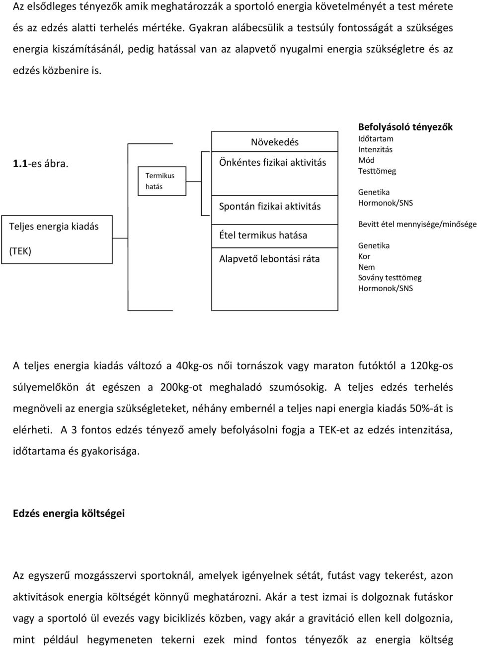 Termikus hatás Növekedés Önkéntes fizikai aktivitás Spontán fizikai aktivitás Befolyásoló tényezők Időtartam Intenzitás Mód Testtömeg Genetika Hormonok/SNS Teljes energia kiadás (TEK) Étel termikus