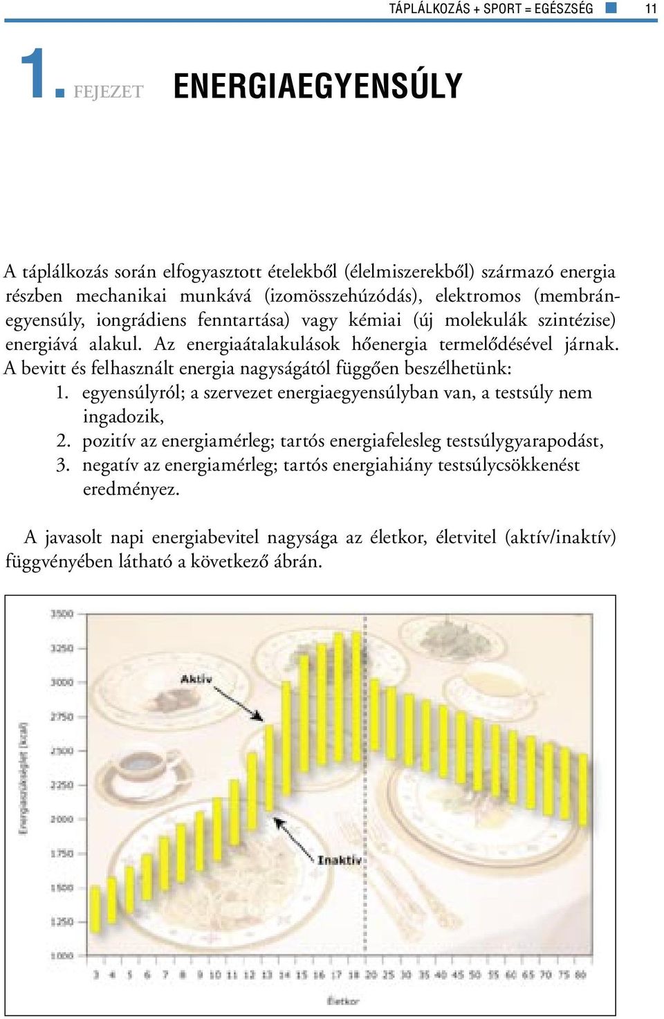 fenntartása) vagy kémiai (új molekulák szintézise) energiává alakul. Az energiaátalakulások hôenergia termelôdésével járnak. A bevitt és felhasznált energia nagyságától függôen beszélhetünk: 1.