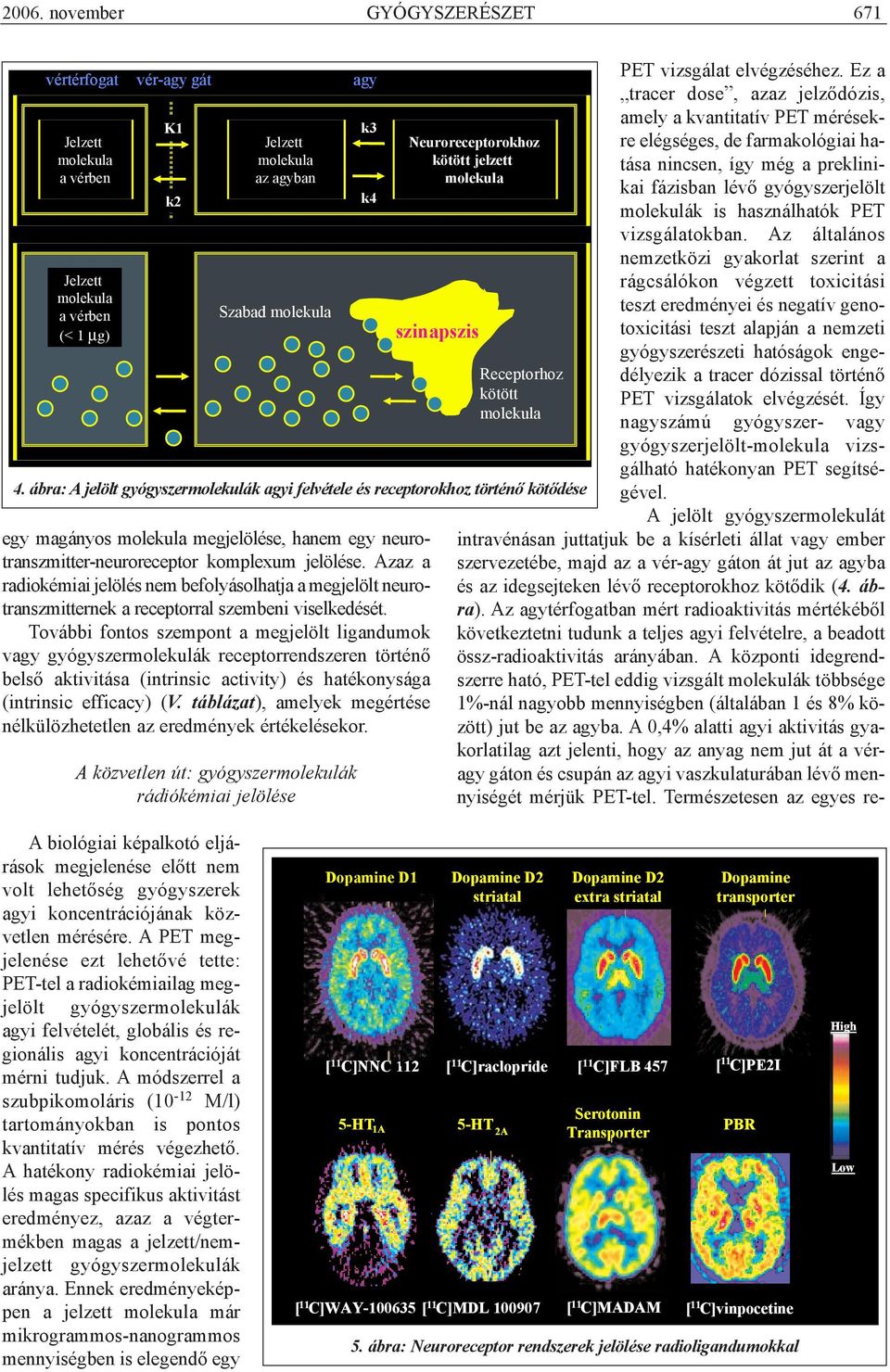 Azaz a radiokémiai jelölés nem befolyásolhatja a megjelölt neurotranszmitternek a receptorral szembeni viselkedését.