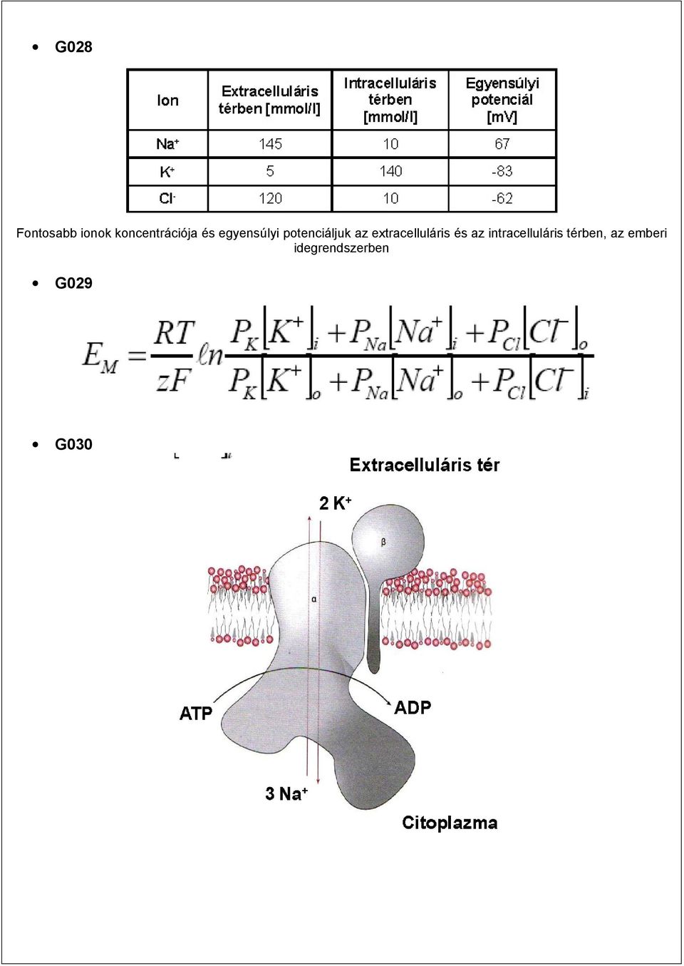 extracelluláris és az