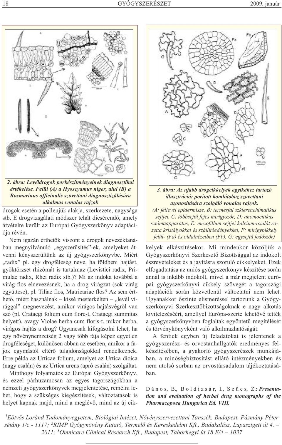 szállítóedényekkel, F: mirigypikkely felül- (Fa) és oldalnézetben (Fb), G: egysejtű fedőszőr) 2. ábra: Levéldrogok porkészítményeinek diagnosztikai értékelése.