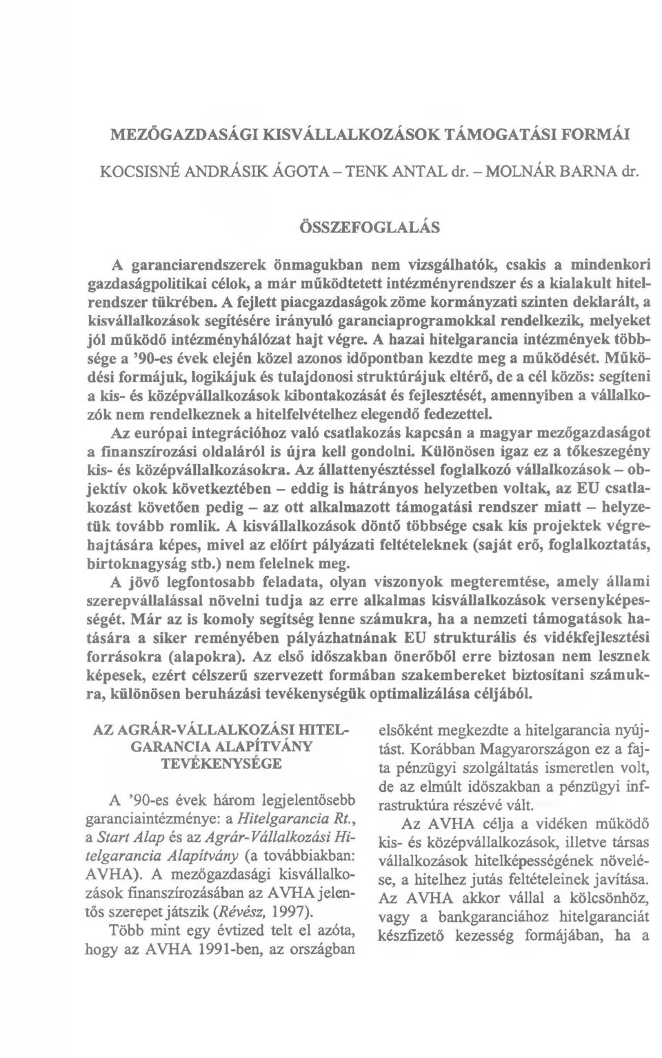 A fejlett piacgazdaságok zöme kormányzati szinten deklarált, a kisvállalkozások segítésére irányuló garanciaprogramokkal rendelkezik, melyeket jól működő intézményhálózat hajt végre.