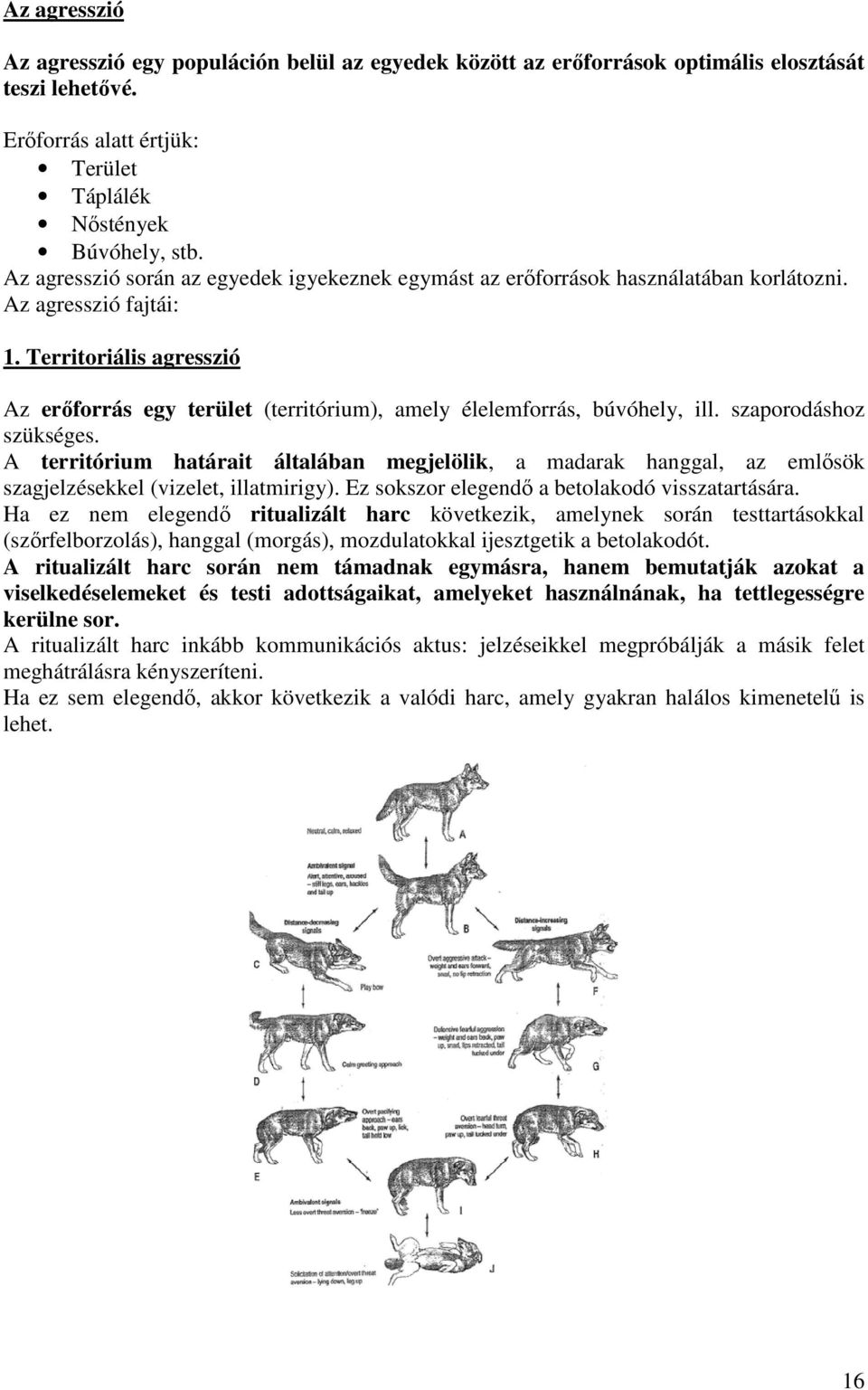 Territoriális agresszió Az erıforrás egy terület (territórium), amely élelemforrás, búvóhely, ill. szaporodáshoz szükséges.