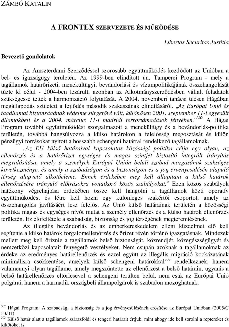 Tamperei Program - mely a tagállamok határőrizeti, menekültügyi, bevándorlási és vízumpolitikájának összehangolását tűzte ki célul - 2004-ben lezárult, azonban az Alkotmányszerződésben vállalt