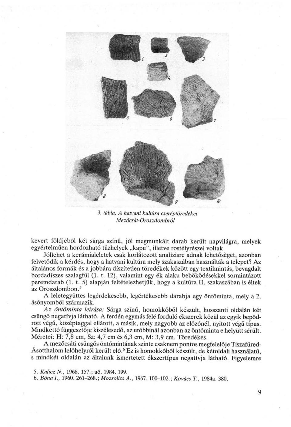 rostélyrészei voltak. Jóllehet a kerámialeletek csak korlátozott analízisre adnak lehetőséget, azonban felvetődik a kérdés, hogy a hatvani kultúra mely szakaszában használták a telepet?