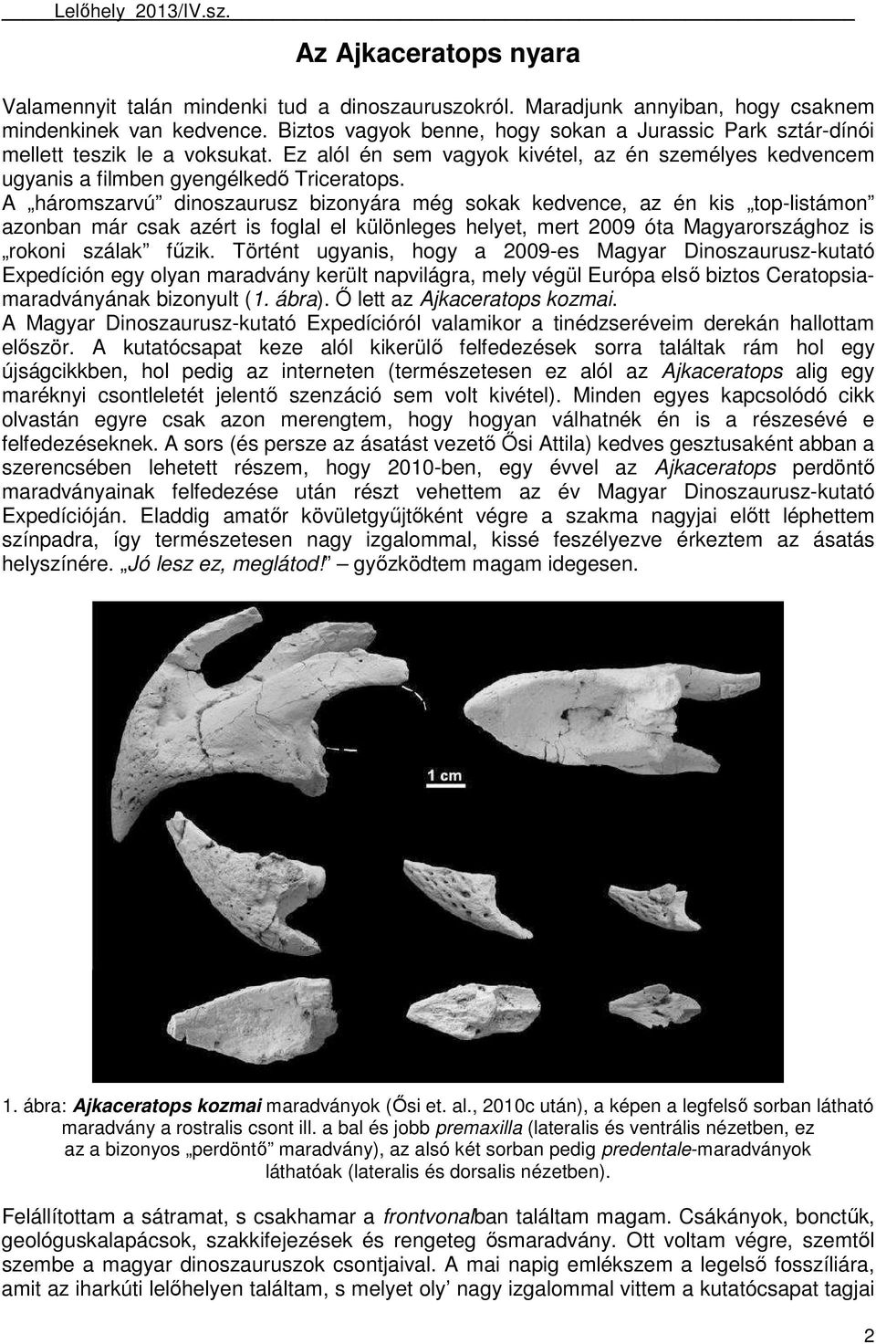 A háromszarvú dinoszaurusz bizonyára még sokak kedvence, az én kis top-listámon azonban már csak azért is foglal el különleges helyet, mert 2009 óta Magyarországhoz is rokoni szálak főzik.