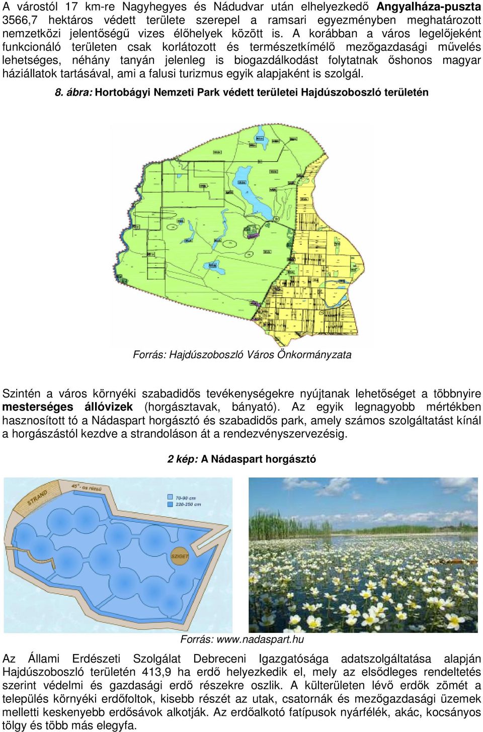 A korábban a város legelıjeként funkcionáló területen csak korlátozott és természetkímélı mezıgazdasági mővelés lehetséges, néhány tanyán jelenleg is biogazdálkodást folytatnak ıshonos magyar