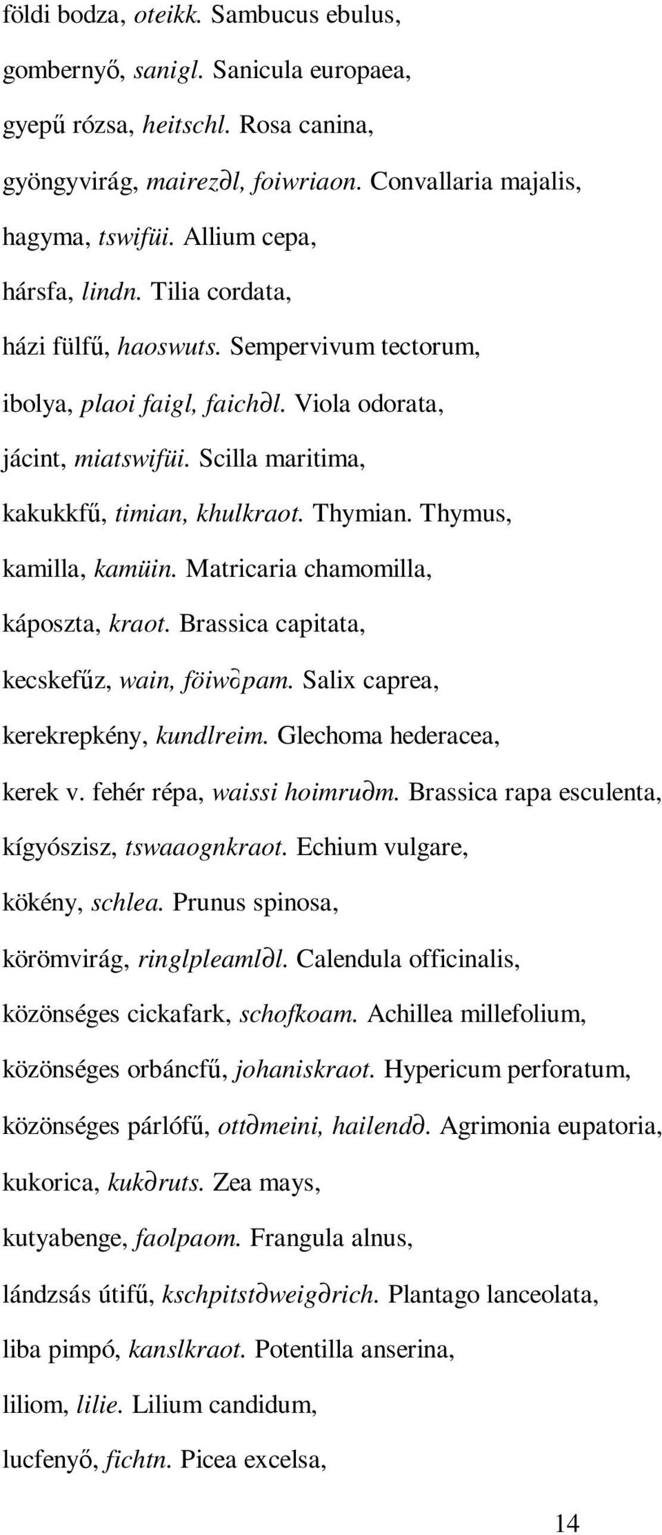 Thymian. Thymus, kamilla, kamüin. Matricaria chamomilla, káposzta, kraot. Brassica capitata, kecskefőz, wain, föiw pam. Salix caprea, kerekrepkény, kundlreim. Glechoma hederacea, kerek v.