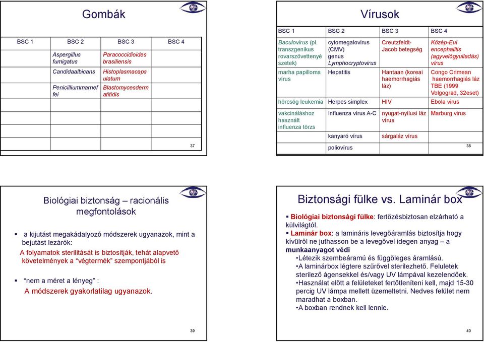 transzgenikus cytomegalovirus (CMV) Creutzfeldt- Jacob betegség Közép-Eui encephalitis rovarszövettenyé szetek) genus Lymphocryptovirus (agyvelőgyulladás) vírus marha papilloma vírus Hepatitis