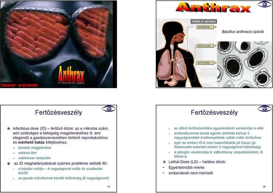 a bejutás módja 4 nagyságrend orális és szubkután között 2. az gazda indivídumok közötti különbség (6 nagyságrend!) 3. az eltérő fertőzésmódok egyedenkénti variaációja is eltér 4.