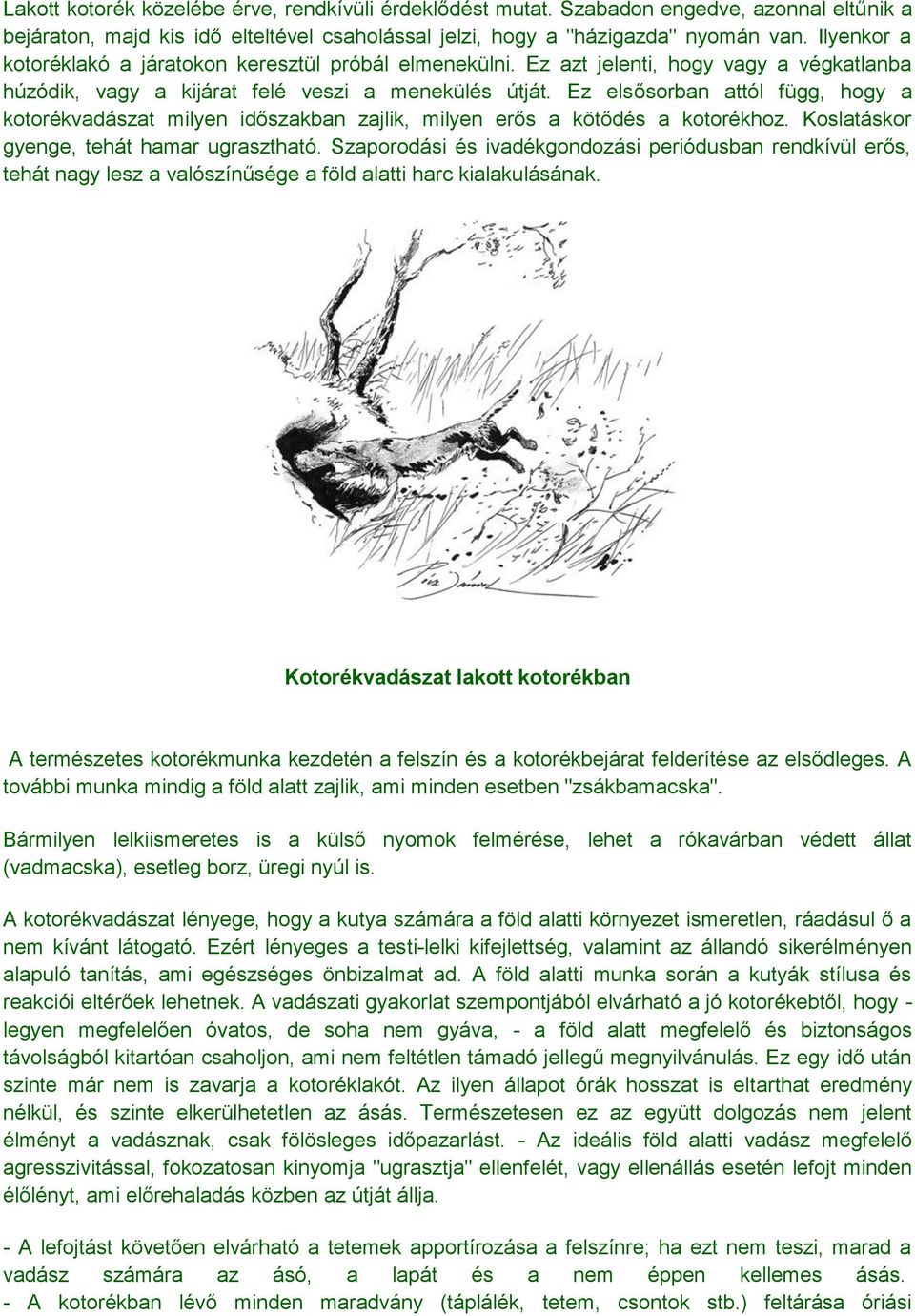 Ez elsősorban attól függ, hogy a kotorékvadászat milyen időszakban zajlik, milyen erős a kötődés a kotorékhoz. Koslatáskor gyenge, tehát hamar ugrasztható.