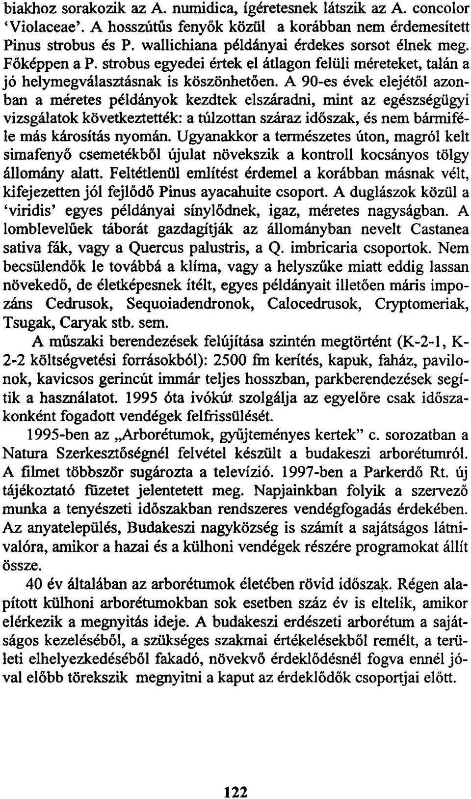 A 90-es évek elejétől azonban a méretes példányok kezdtek elszáradni, mint az egészségügyi vizsgálatok következtették: a túlzottan száraz időszak, és nem bármiféle más károsítás nyomán.