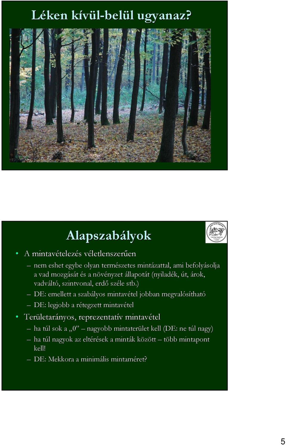 s a növényzet n nyzet állapotát t (nyiladék, út, árok, vadvált ltó,, szintvonal, erdő széle stb.