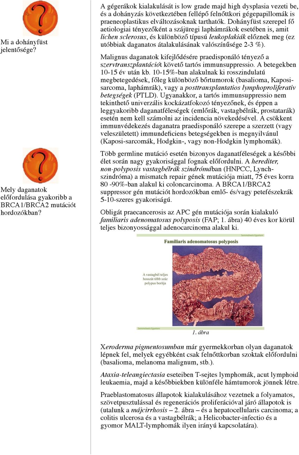 Dohányfüst szerepel fő aetiologiai tényezőként a szájüregi laphámrákok esetében is, amit lichen sclerosus, és különböző típusú leukoplakiák előznek meg (ez utóbbiak daganatos átalakulásának