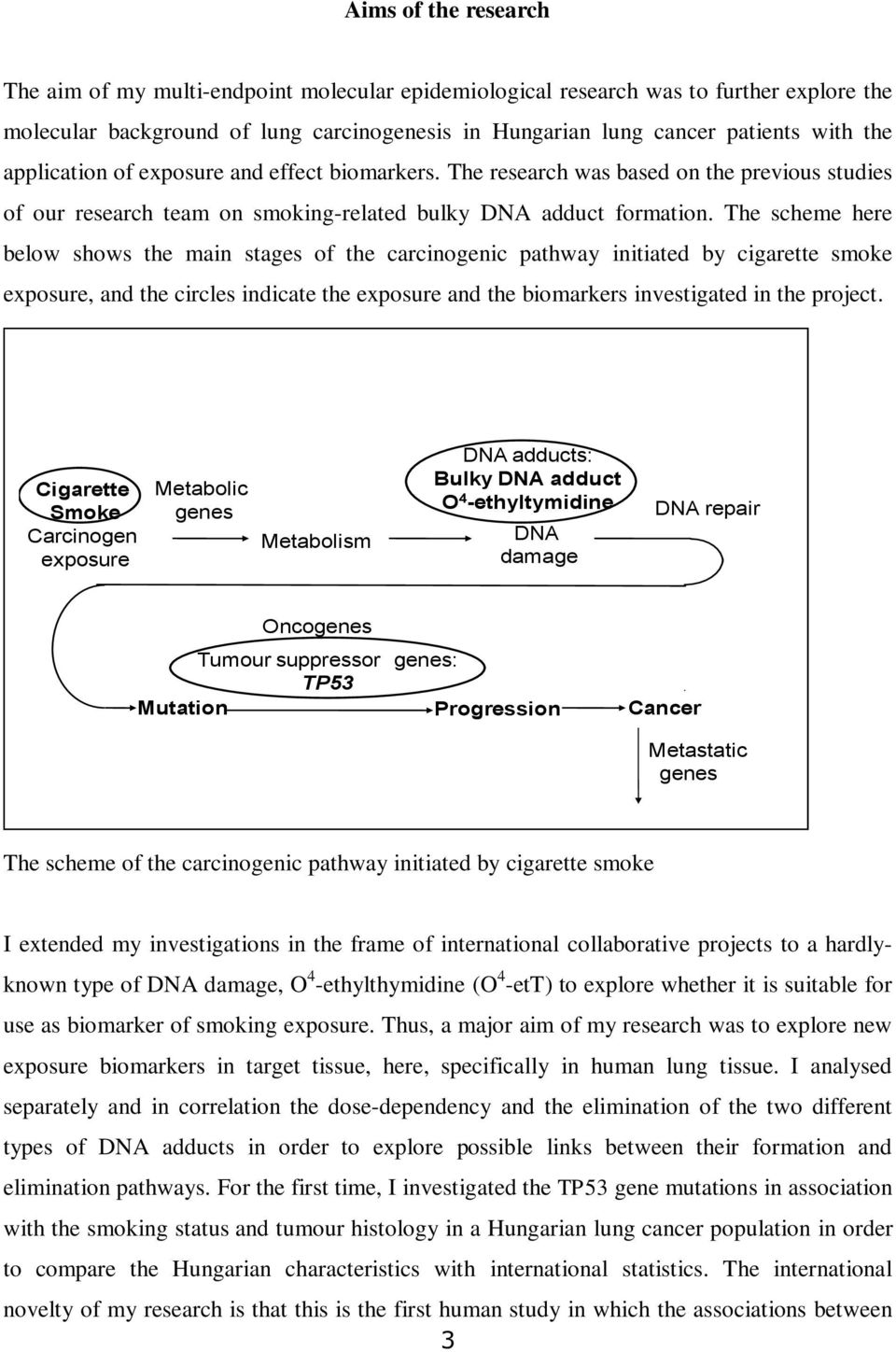 The scheme here below shows the main stages of the carcinogenic pathway initiated by cigarette smoke exposure, and the circles indicate the exposure and the biomarkers investigated in the project.