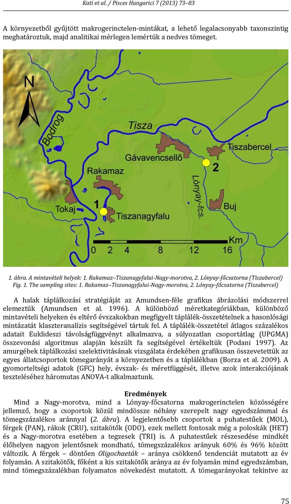 Lónyay főcsatorna (Tiszabercel) A halak táplálkozási stratégiáját az Amundsen féle grafikus ábrázolási módszerrel elemeztük (Amundsen et al. 1996).