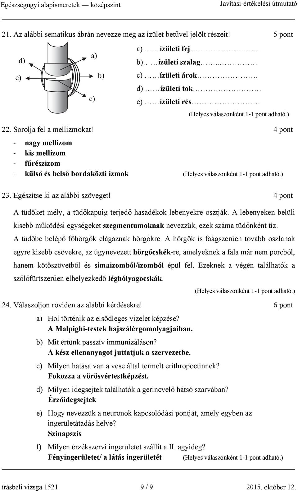 4 pont A tüdőket mély, a tüdőkapuig terjedő hasadékok lebenyekre osztják. A lebenyeken belüli kisebb működési egységeket szegmentumoknak nevezzük, ezek száma tüdőnként tíz.