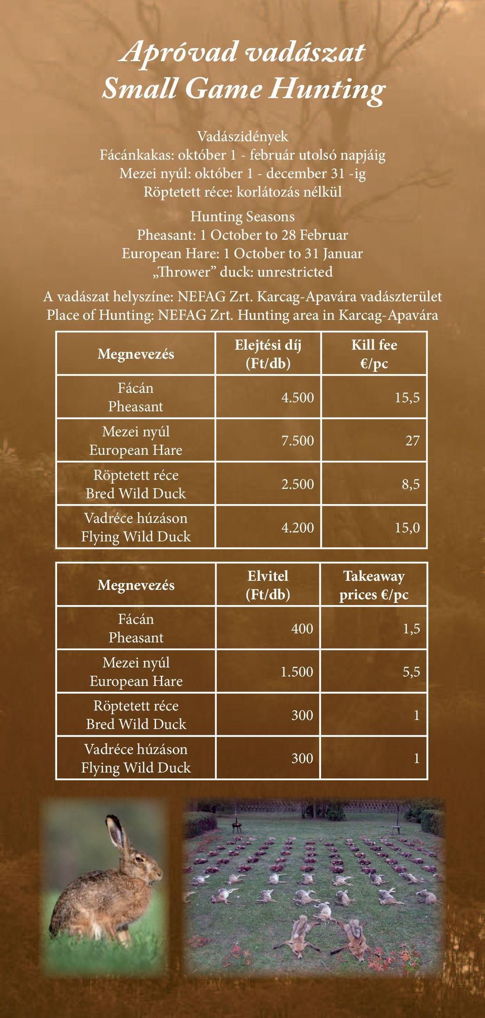 Hunting area in Karcag-Apavára Megnevezés Fácán Pheasant Mezei nyúl European Hare Röptetett réce Bred Wild Duck Vadréce húzáson Flying Wild Duck Elejtési díj (Ft/db) Kill fee /pc 4.500 15,5 7.