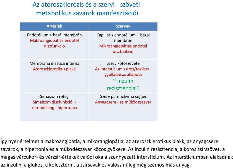 gyulladásos állapota ~ inzulin rezisztencia?