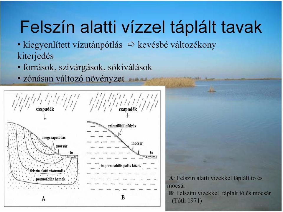 sókiválások zónásan változó növényzet A: Felszín alatti vizekkel