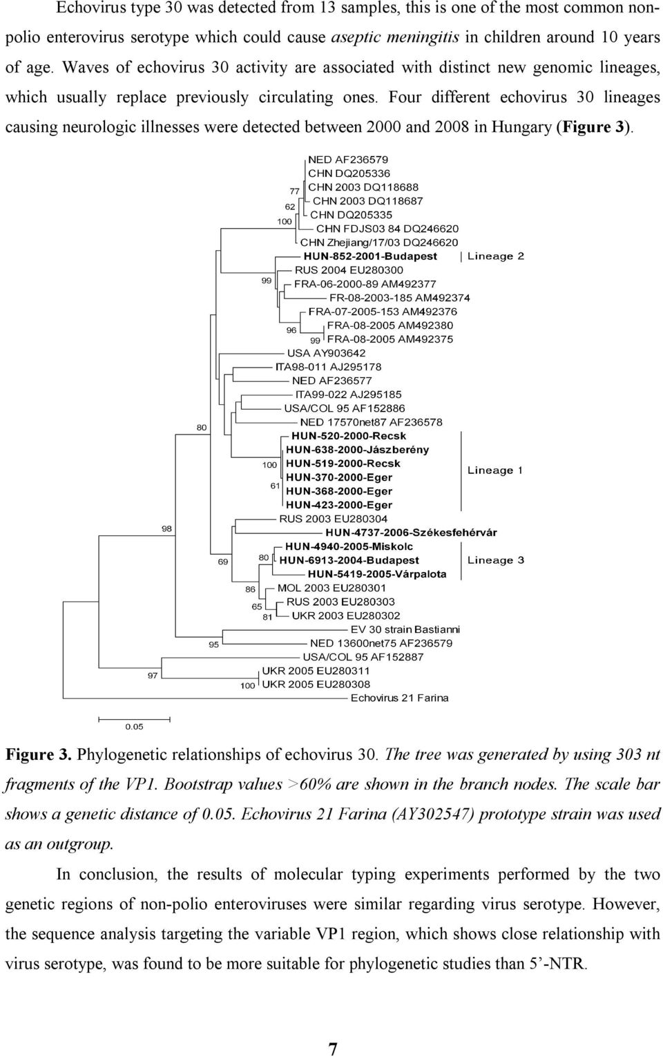 Four different echovirus 30 lineages causing neurologic illnesses were detected between 2000 and 2008 in Hungary (Figure 3). Figure 3. Phylogenetic relationships of echovirus 30.