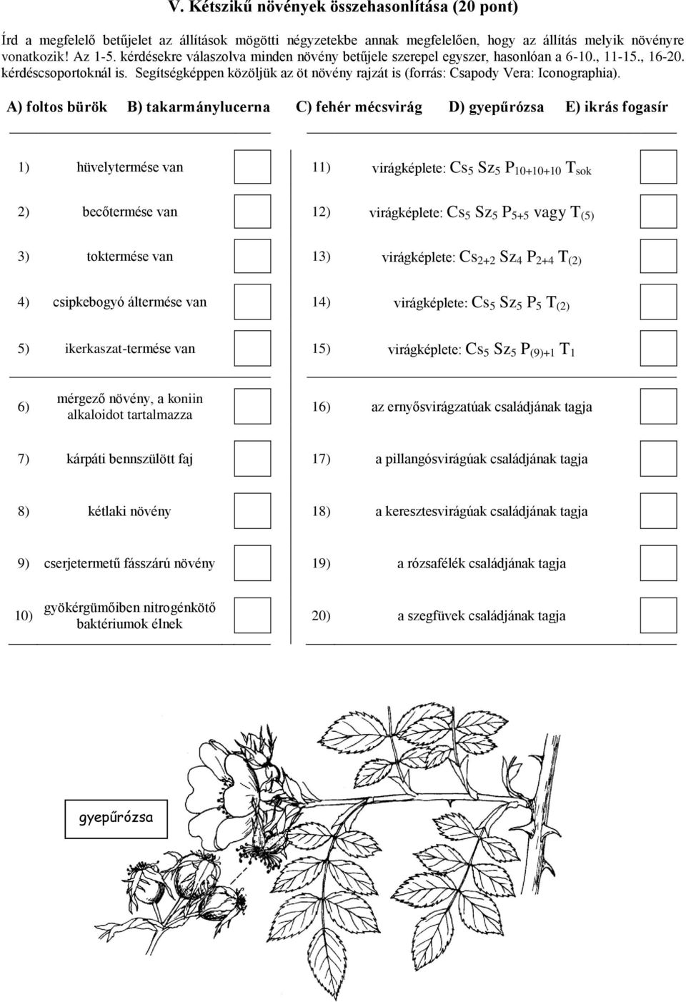 Segítségképpen közöljük az öt növény rajzát is (forrás: Csapody Vera: Iconographia).