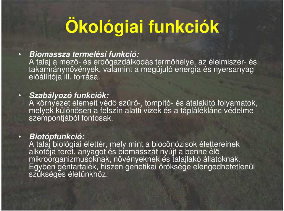 Szabályozó funkciók: A környezet elemeit védı szőrı-, tompító- és átalakító folyamatok, melyek különösen a felszín alatti vizek és a tápláléklánc védelme