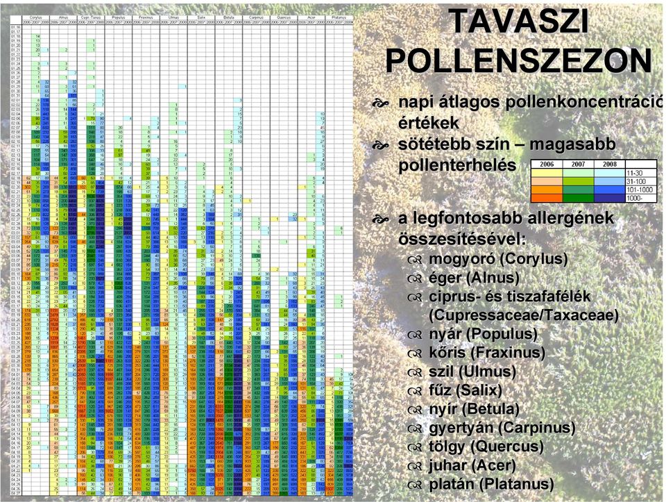 (Cupressaceae/Taxaceae) nyár r (Populus( Populus) kőris (Fraxinus( Fraxinus) szil (Ulmus( Ulmus) fűz z (Salix(