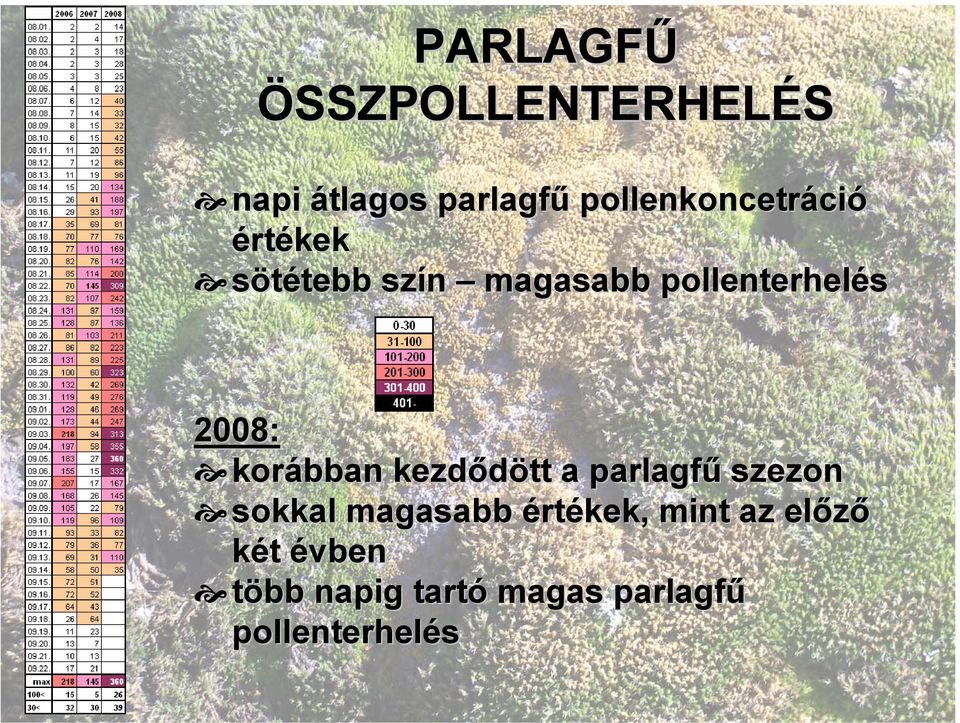 pollenterhelés 2008: korábban kezdődött a parlagfű szezon sokkal