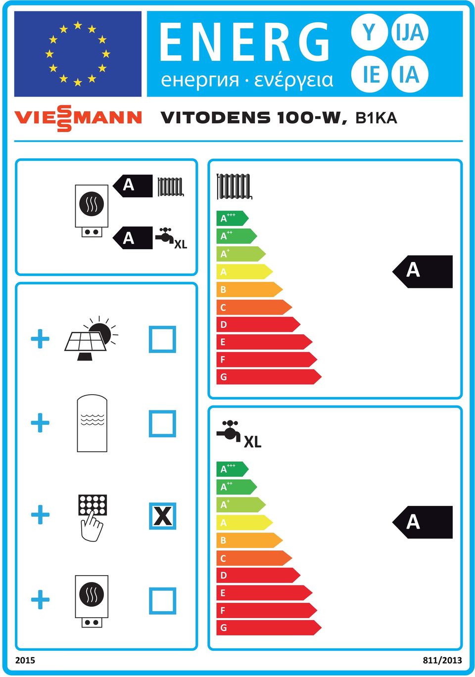 VITODENS 100-W, B1K B