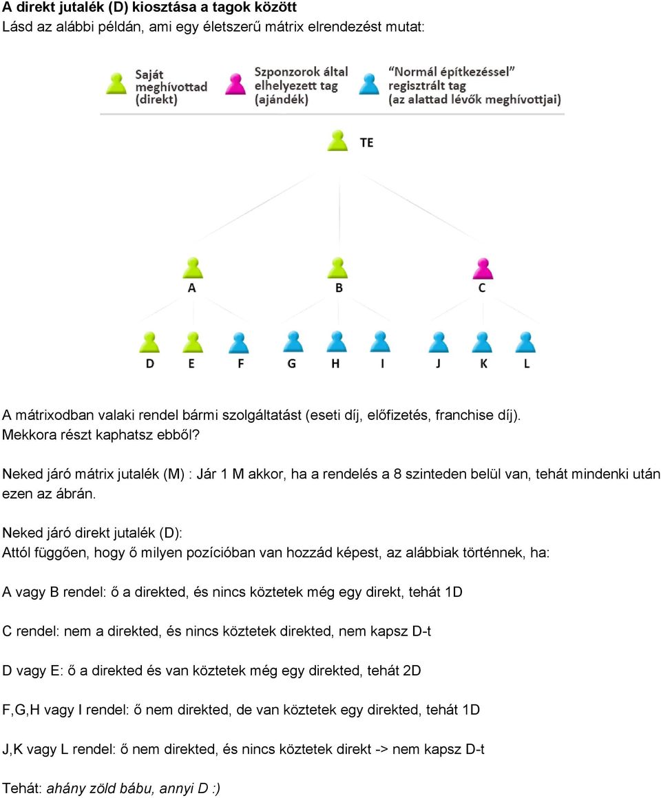 Neked járó direkt jutalék (D): Attól függően, hogy ő milyen pozícióban van hozzád képest, az alábbiak történnek, ha: A vagy B rendel: ő a direkted, és nincs köztetek még egy direkt, tehát 1D C