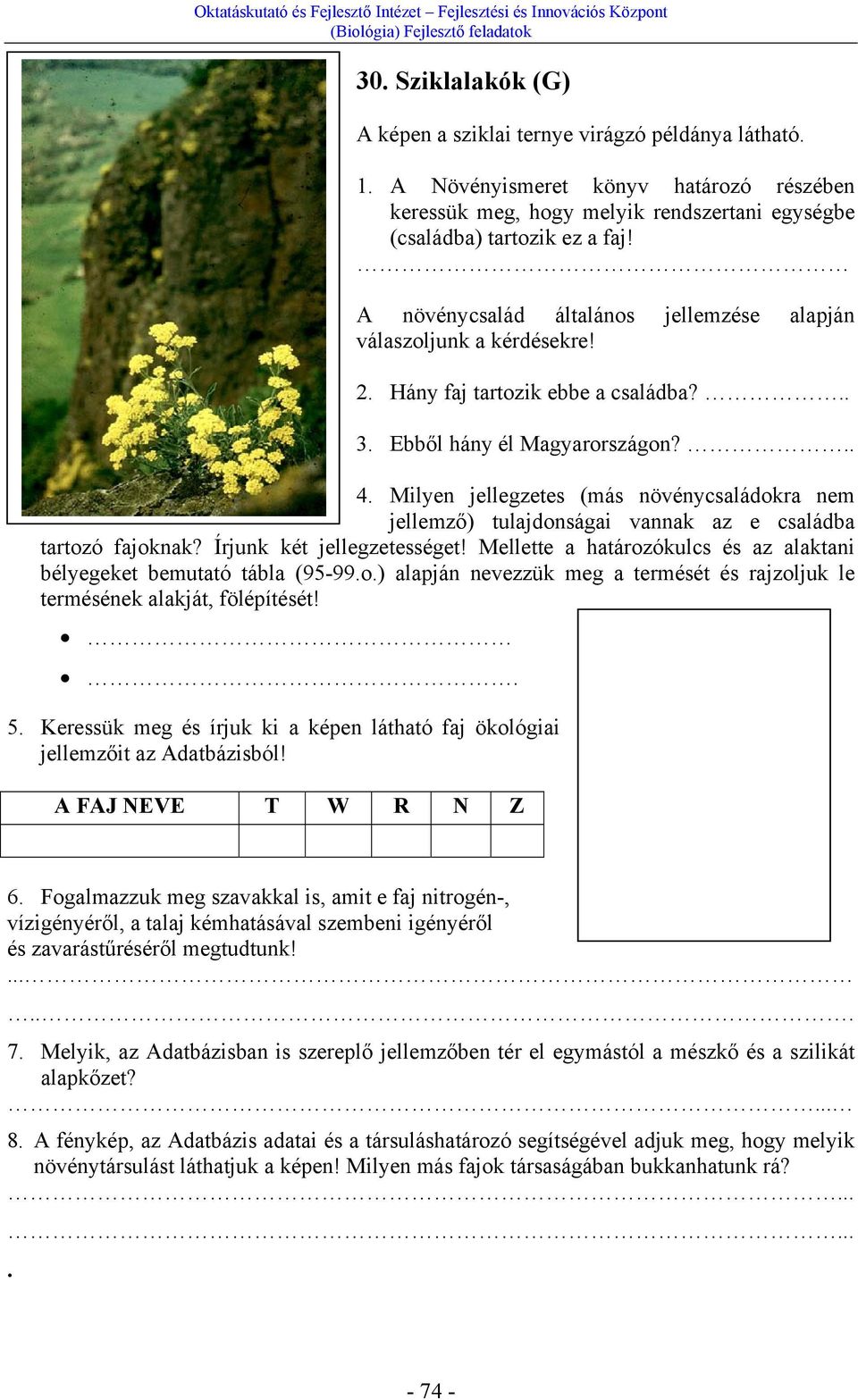 Milyen jellegzetes (más növénycsaládokra nem jellemző) tulajdonságai vannak az e családba tartozó fajoknak? Írjunk két jellegzetességet!