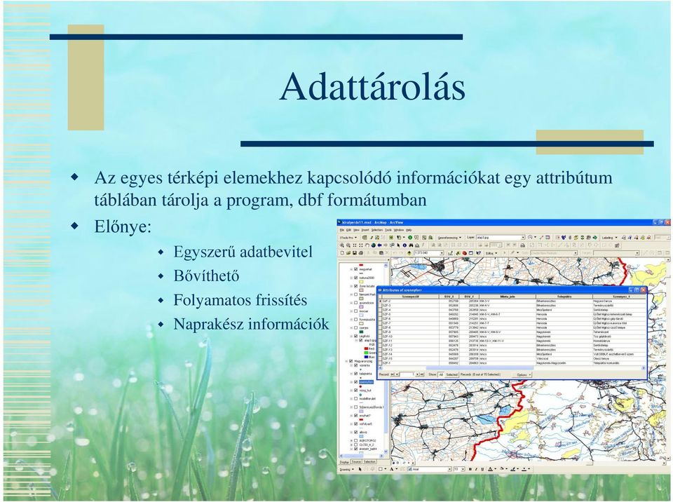 program, dbf formátumban Előnye: Egyszerű