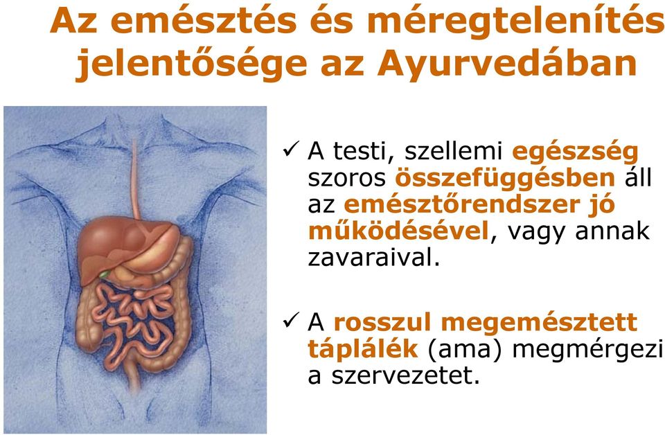 emésztőrendszer jó működésével, vagy annak zavaraival.