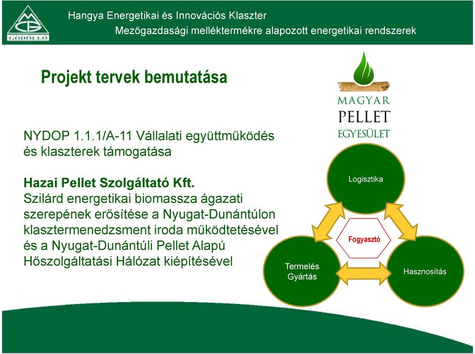 Szilárd energetikai biomassza ágazati szerepének erősítése a Nyugat-Dunántúlon