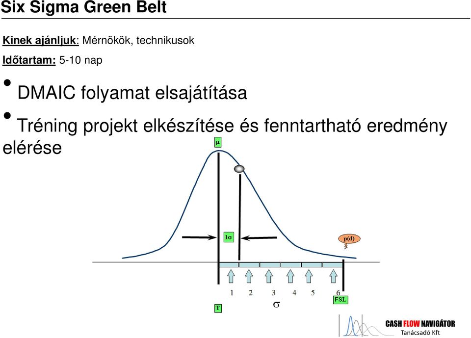 DMAIC folyamat elsajátítása Tréning