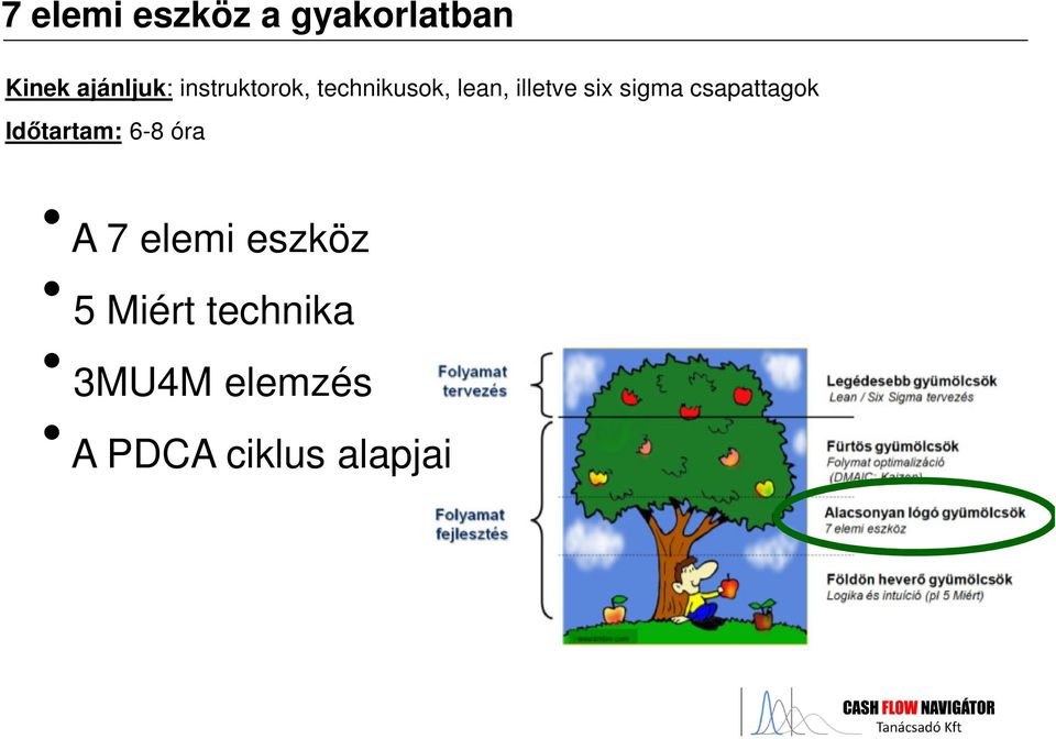 sigma csapattagok Időtartam: 6-8 óra A 7 elemi