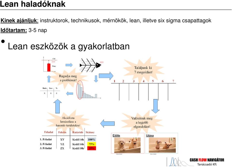 lean, illetve six sigma csapattagok