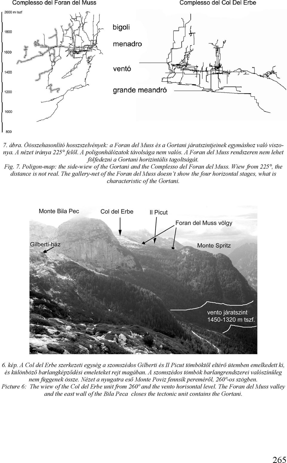 Wiew from 225, the distance is not real. The gallery-net of the Foran del Muss doesn t show the four horizontal stages, what is characteristic of the Gortani. 6. kép.