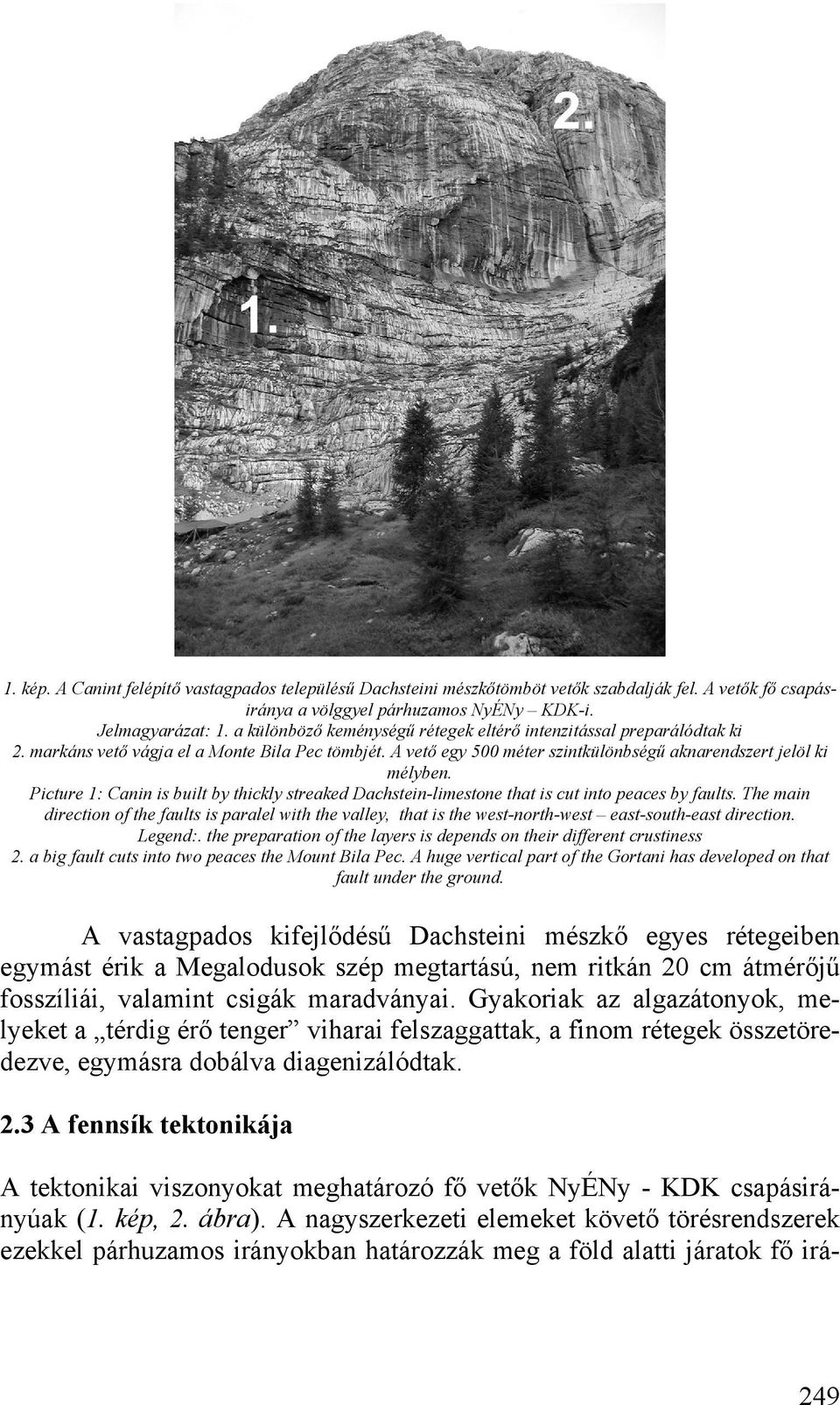 Picture 1: Canin is built by thickly streaked Dachstein-limestone that is cut into peaces by faults.