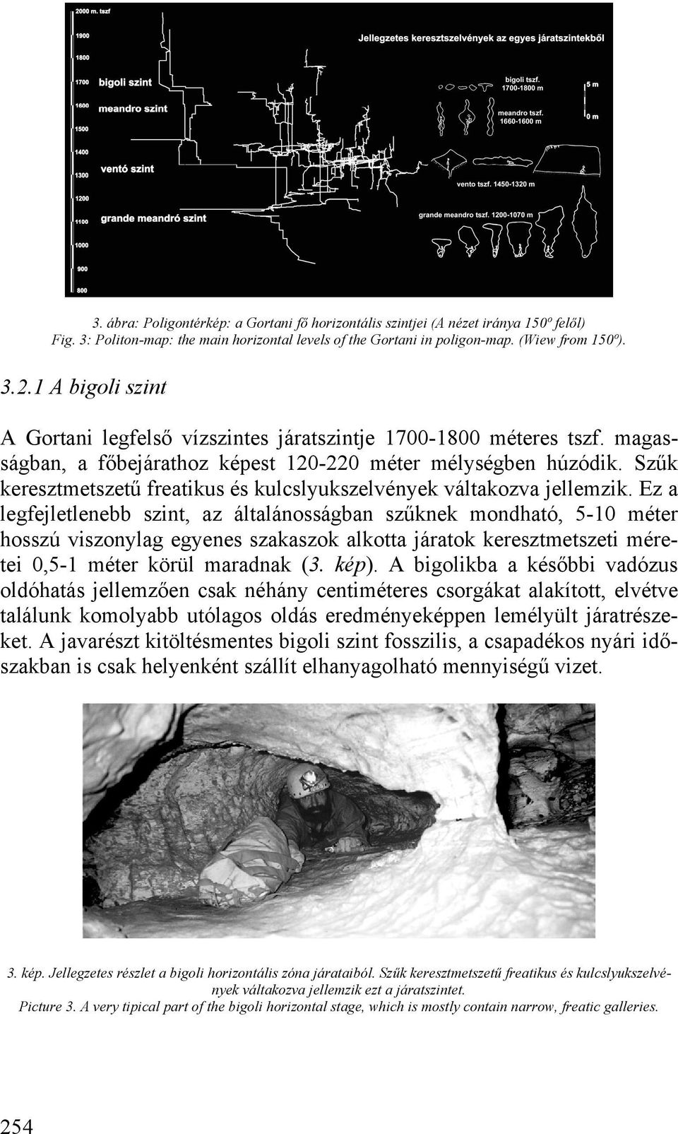 Szűk keresztmetszetű freatikus és kulcslyukszelvények váltakozva jellemzik.