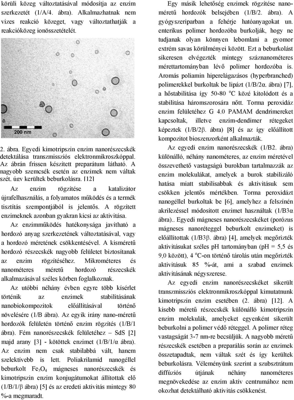 [12] Az enzim rögzítése a katalizátor újrafelhasználás, a folyamatos működés és a termék tisztítás szempontjából is jelentős. A rögzített enzimeknek azonban gyakran kicsi az aktivitása.