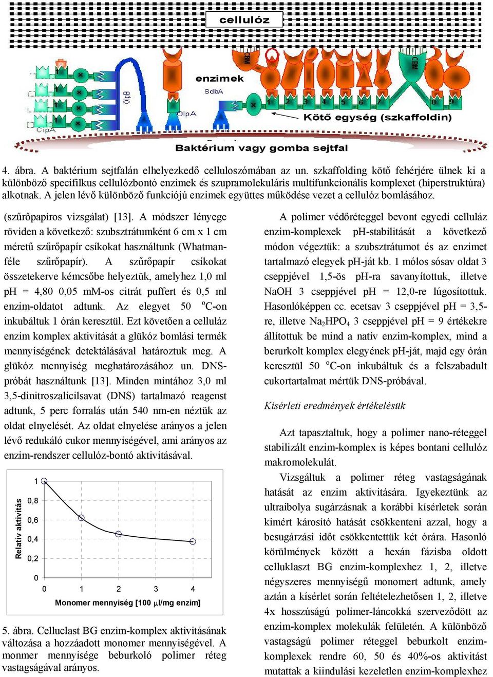 A jelen lévő különböző funkciójú enzimek együttes működése vezet a cellulóz bomlásához. (szűrőpapíros vizsgálat) [13].