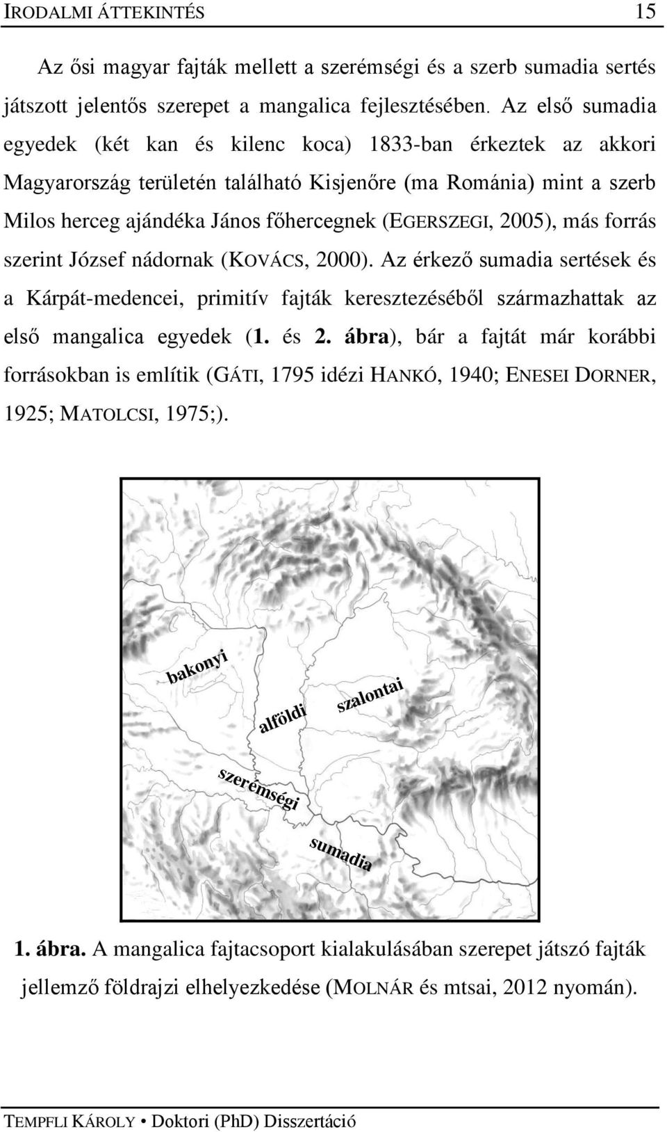 2005), más forrás szerint József nádornak (KOVÁCS, 2000). Az érkező sumadia sertések és a Kárpát-medencei, primitív fajták keresztezéséből származhattak az első mangalica egyedek (1. és 2.