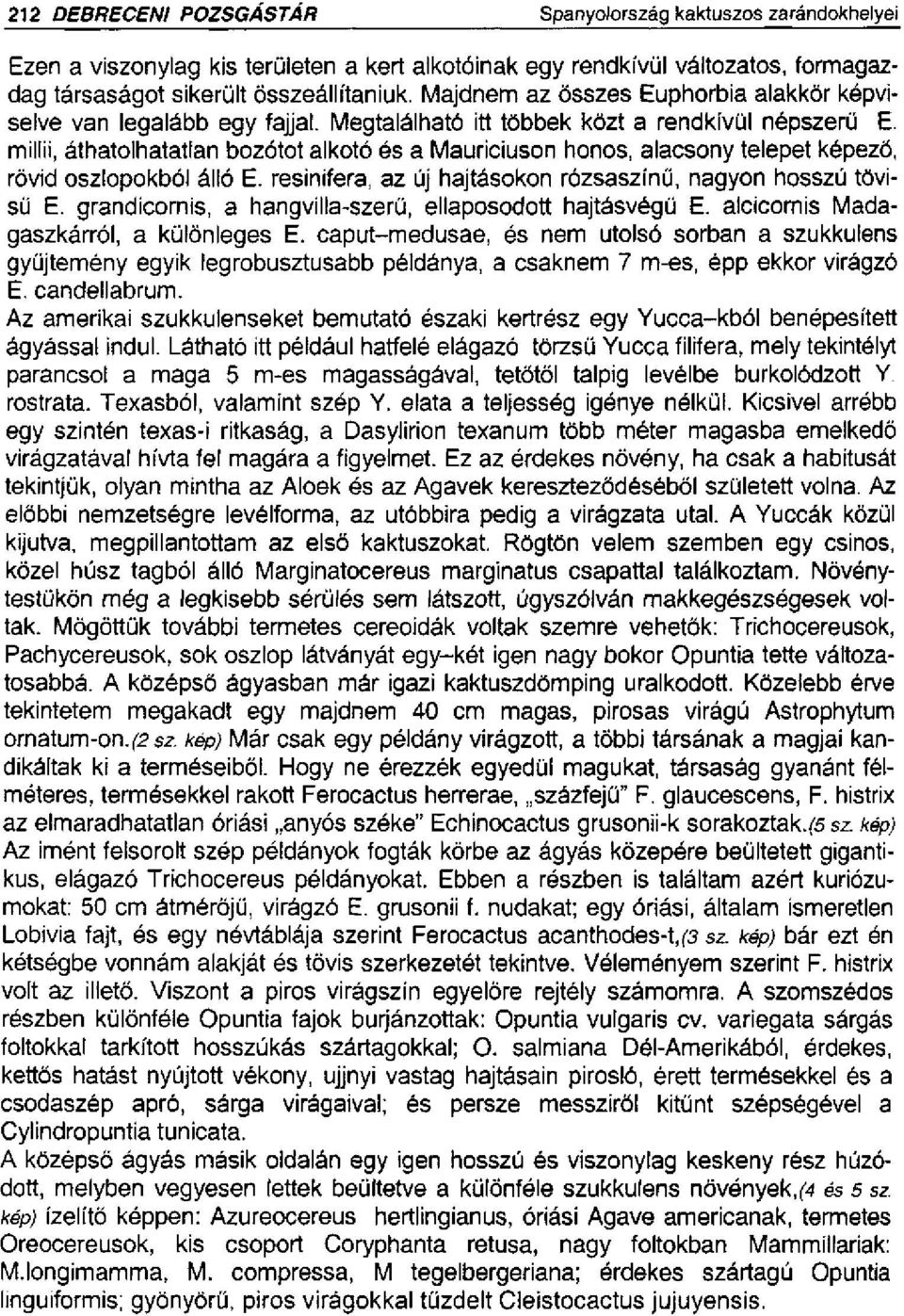 millii, áthatolhatatlan bozótot alkotó és a Mauriciuson honos, alacsony telepet képező, rövid oszlopokból álló E. resinifera, az új hajtásokon rózsaszínű, nagyon hosszú tövisű E.